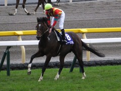 20161030 東京11R 天皇賞・秋(G1) モーリス 29