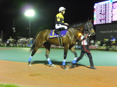 20160518 大井11R 大井記念(S2) グランディオーソ 11