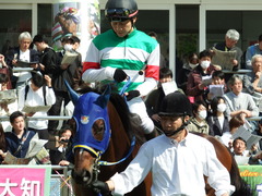 20180325 中山9R 両国特別(1000) ラッシュアタック 11