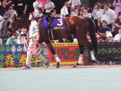 20180801 大井11R サンタアニタトロフィー(S3) グランディオーソ 15