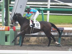 20151213 中山8R 3歳上500万下 ヴィルトグラーフ 12