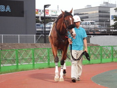 20180814 大井8R 東京記念TR 3歳上OP ユーロビート 12