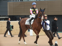 20190112 中山5R 3歳未勝利 ストレートパンチ 18