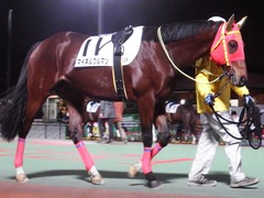 20181205 大井12R サジタリウス賞 B2 マイネルグルマン 12