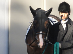 20160124 中山12R 4歳上1000万下 ロジダーリング 08