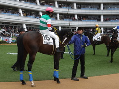 20150308 中山5R 3歳未勝利 ラッシュアタック 09
