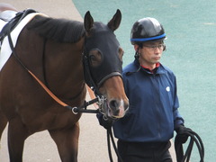20170205 東京1R 3歳未勝利 メガポリゴン 03