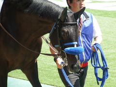 20180421 東京6R 3歳未勝利 ミッキーバード 07