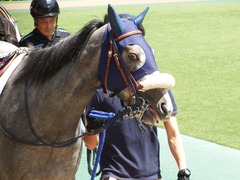 20180421 東京6R 3歳未勝利 ウェディングベール 10