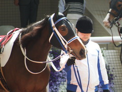 20180331 阪神3R 3歳未勝利 テンノカガヤキ 12