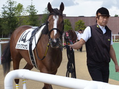 20150905 札幌8R 3歳上500万下 ツクバアスナロ 03