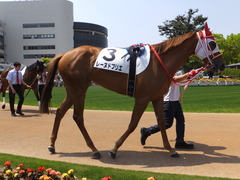 20150425 京都4R 3歳未勝利 レーヌドブリエ 07