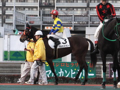 20151224 大井2R 2歳新馬 マルカンヒラリー 14