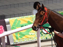 20170603 阪神3R 3歳未勝利 フェアチャイルド 04
