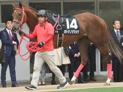 20190310 中山11R アネモネS 3歳牝馬OP オトナノジジョウ 06