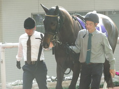 20180401 阪神11R 大阪杯(G1) トリオンフ 05
