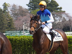 20170402 中山6R 3歳500万下 アドマイヤシナイ 21