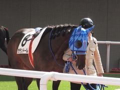 20170225 阪神4R 3歳未勝利 サテンドール 08