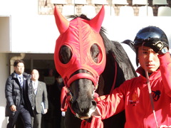 20180107 中山3R 3歳未勝利 ノーザンクリス 14