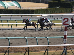 20150104 中山7R 4歳上500万下 ヴィルトグラーフ 10