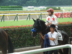20180617 東京8R (500) ミッキーバード 17