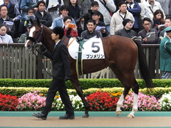20161030 東京1R 2歳未勝利 プンメリン 03