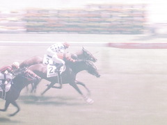 20140531 東京6R オウケンブラック 18