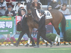 20180325 中山1R 3歳未勝利 ルフィーナ 06