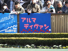 20150221 東京10R 初音S4歳上1600万下 アルマディヴァン 06
