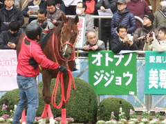20190106 中山10R ジュニアC(L) オトナノジジョウ 18