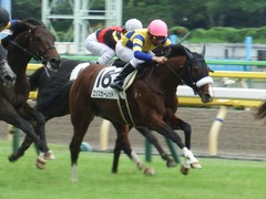 20180616 東京6R 3歳未勝利 ロジスカーレット 22