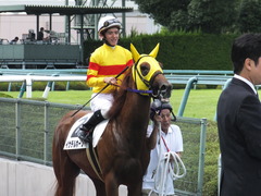 20150920 阪神7R 3歳上500万下 イサチルホープ 08