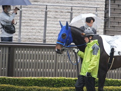 20160220 東京6R 3歳500万下 モーゼス 02