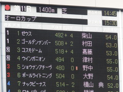 20161113 東京11R オーロカップ(OP) ショウナンアチーヴ 01