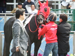 20180324 中山1R 3歳未勝利 ノーザンクリス 11