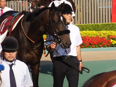20170528 東京12R 目黒記念(G2) マイネルサージュ 06