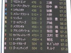 20131116 東京 メジロツボネ01