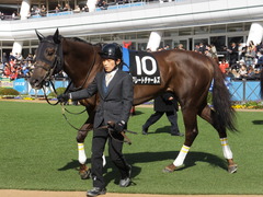 20140321 中山10R グレートチャールズ 10
