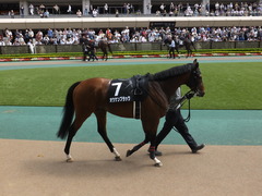 20140517東京9R オウケンブラック 03