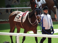 20180331 阪神3R 3歳未勝利 テンノカガヤキ 13