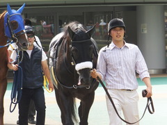 20150628 東京11R パラダイスS ショウナンアチーヴ 03