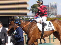 20170226 中山7R 3歳500万下 メガポリゴン 26