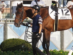 20170909 中山12R 3歳上500万下 メガポリゴン 08