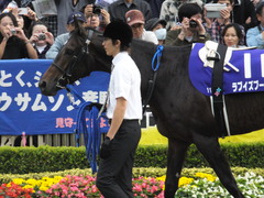20141102 東京11R天皇賞(秋) ラブイズブーシェ 01