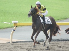 20181006 東京1R 2歳未勝利 サノノドン 19