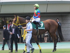20151031 東京11R アルテミスS(G3) テイケイレーヴ 06