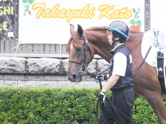 20151011 東京2R 2歳未勝利 アートラヴァー 03
