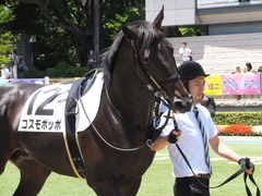 20150628 東京6R 3歳未勝利 コスモポッポ 05