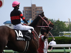 20170624 函館10R 湯川特別(500) ホウオウドリーム 31