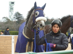 20190106 中山7R 4歳上(500) ウェディングベール 24